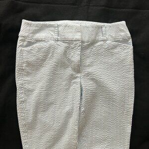LOFT Outlet Skinny Ankle Pants Womens 2 Blue White Seersucker Stripe